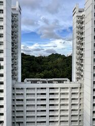 Blk 70C Telok Blangah Ridgeview (Bukit Merah), HDB 4 Rooms #447762581